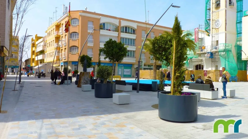 002_Plaza-de-la-Constitucion-San-Pedro-del-Pintar_Jardinera-Dahlia_001