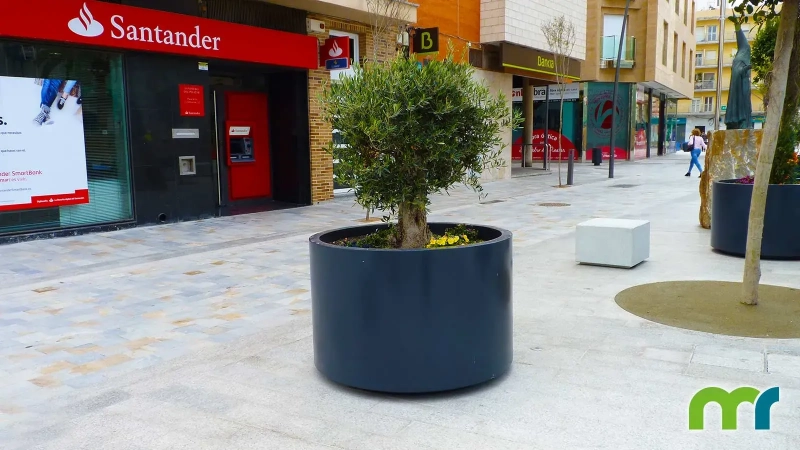 003_Plaza-de-la-Constitucion-San-Pedro-del-Pintar_Jardinera-Dahlia_002