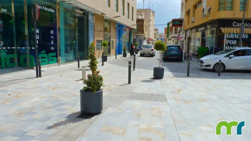 004_Plaza-de-la-Constitucion-San-Pedro-del-Pintar_Jardinera-Dahlia_003