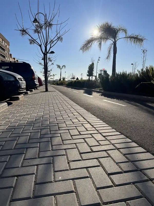 230131_HOLANDA-SUDS_MOLIDANIMETA-QUART-DE-POBLET-152 Adoquín drenante Holanda