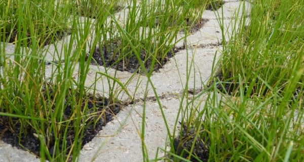 pavimento drenante Nature®