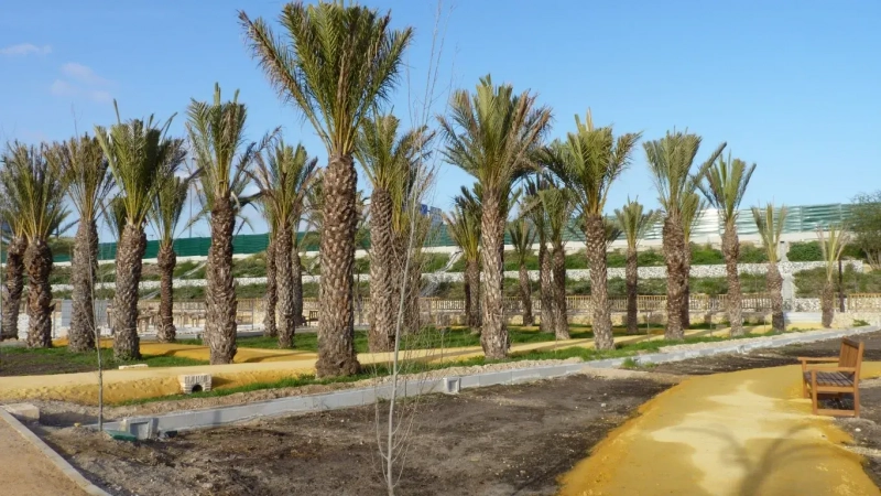 Parque-de-las-Cuatro-Piedras-Murcia.-Canal